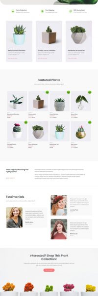 plant-store-02-home-1